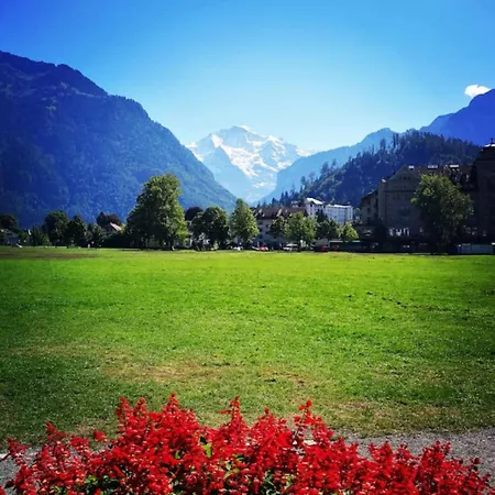 Swisshut Modern 5min West Station - Apart. Rugen 2 * Interlaken