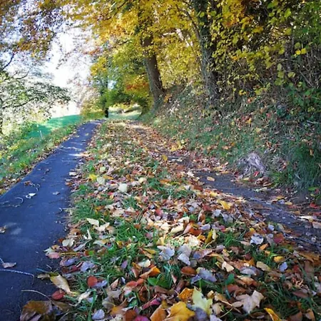 Swisshut Modern 5min West Station - Apart. Rugen 2 Holiday home Interlaken