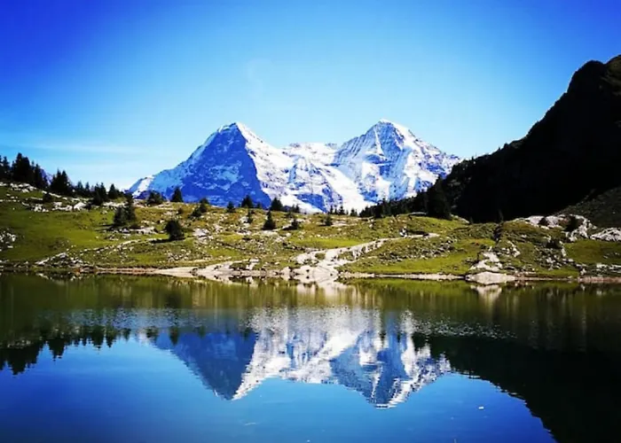 Swisshut Modern 5min West Station - Apart. Rugen 2 Feriehus Interlaken