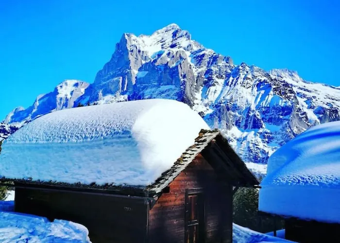 Swisshut Modern 5min West Station - Apart. Rugen 2 * Interlaken