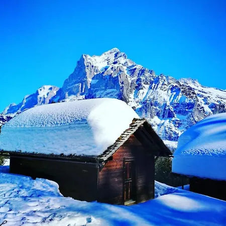 Swisshut Modern 5min West Station - Apart. Rugen 2 * Interlaken