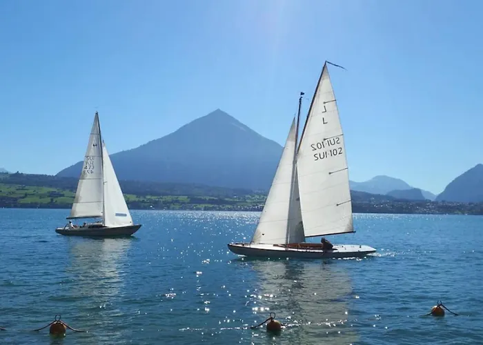 Swisshut Modern 5min West Station - Apart. Rugen 2 Interlaken